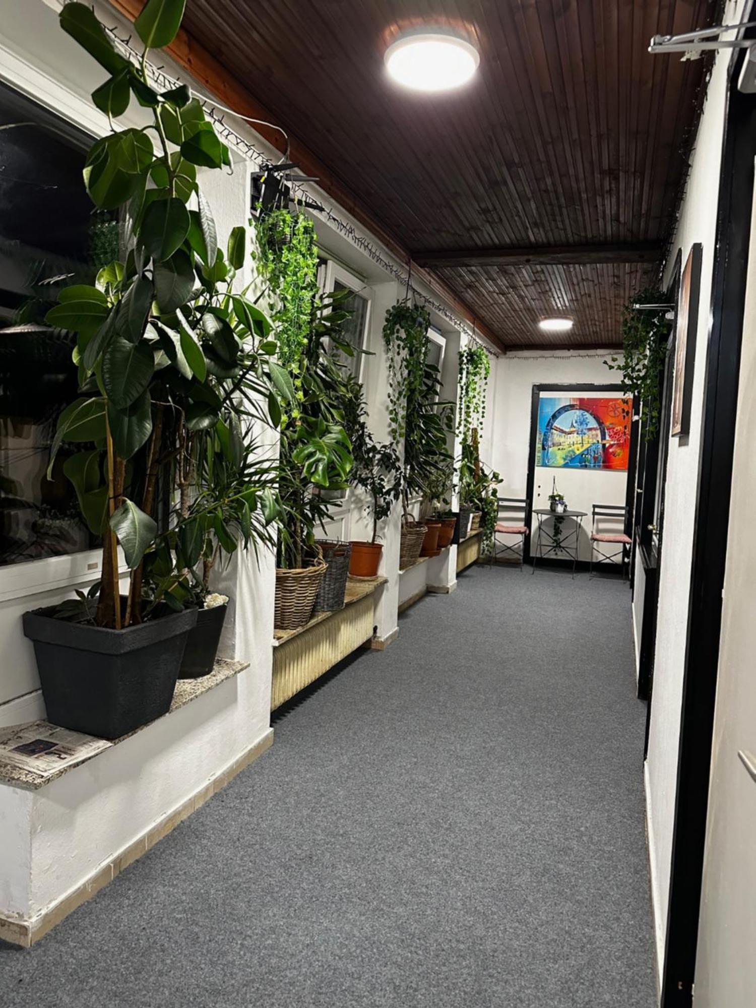 Hostel Lovely Rooms, City Center, Shared Bathroom, Windows To Corridor วิลลาค ภายนอก รูปภาพ
