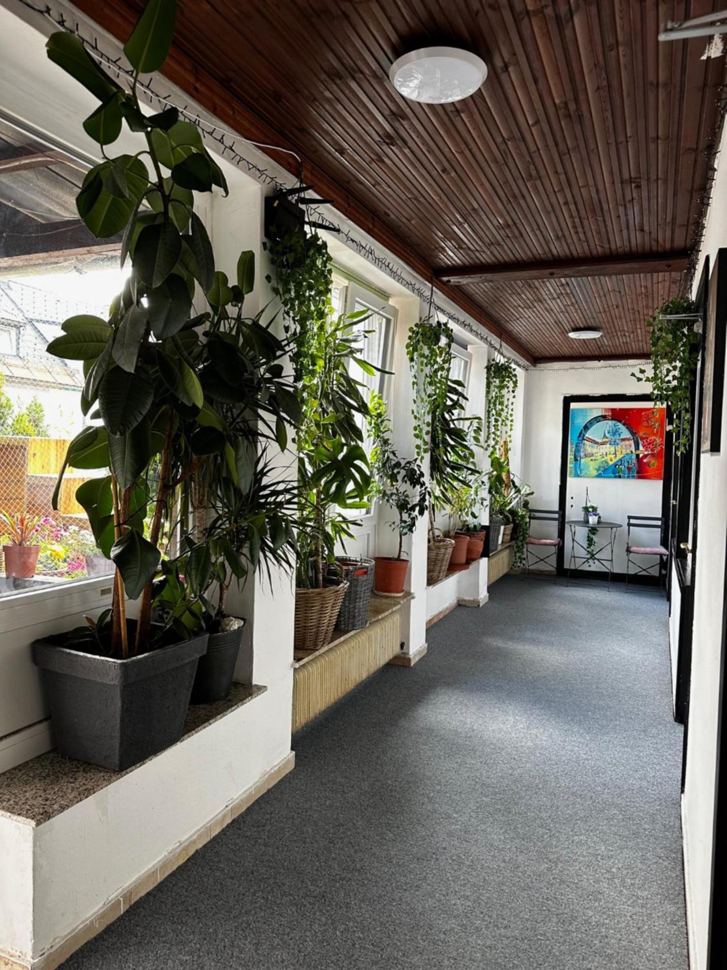 Hostel Lovely Rooms, City Center, Shared Bathroom, Windows To Corridor วิลลาค ภายนอก รูปภาพ
